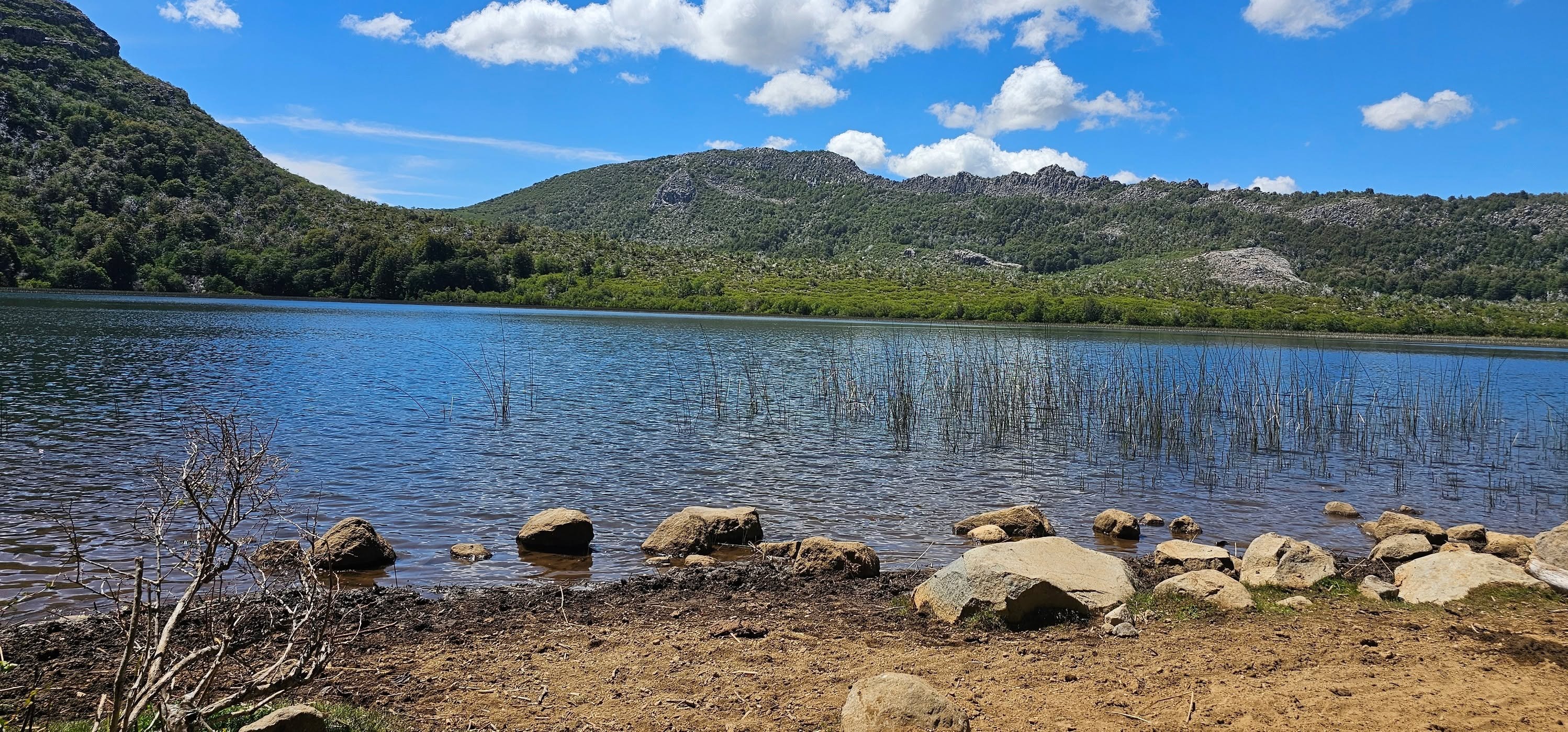 Orilla de la laguna Dañicalqui con juncos y cerros de bosque nativo