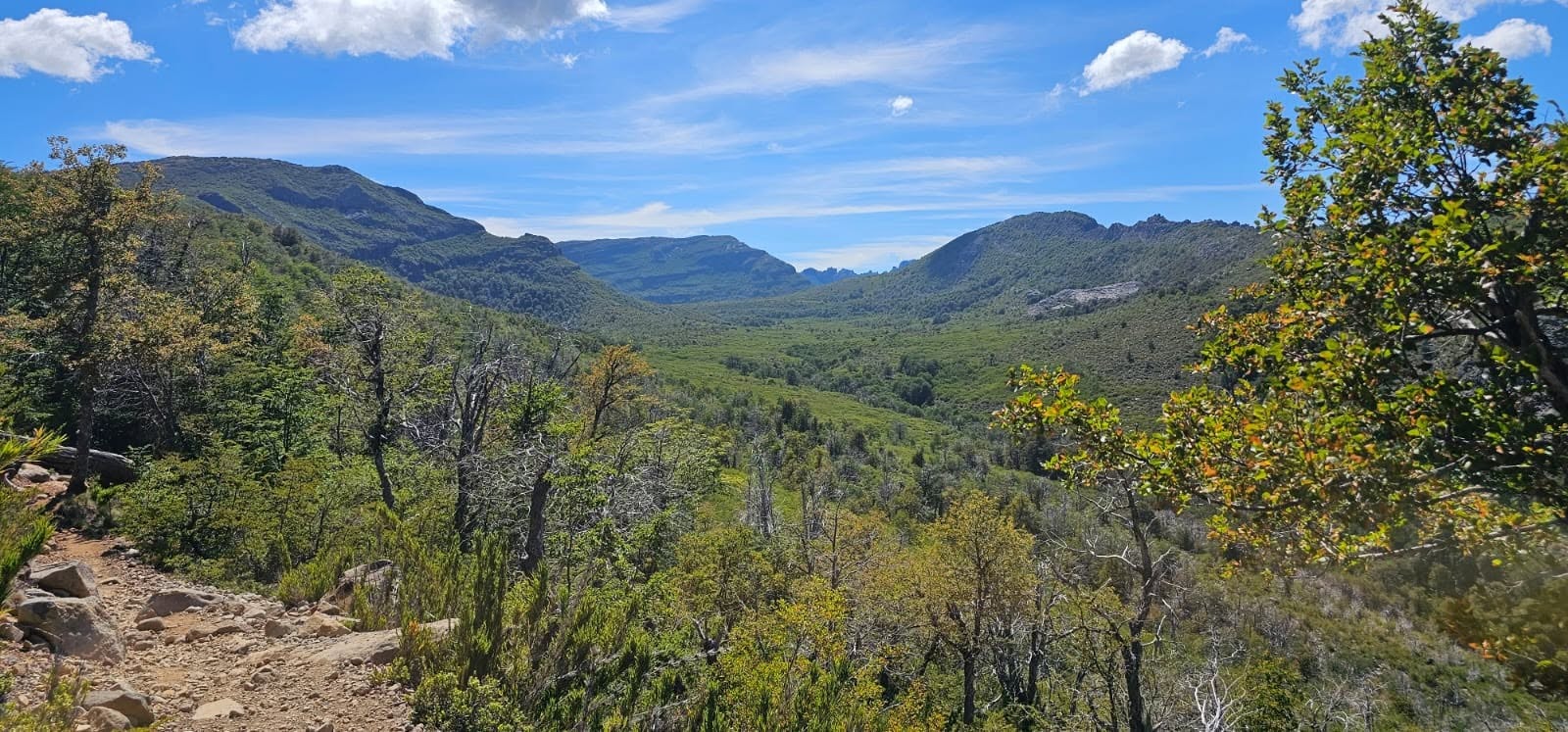 Vista del valle desde el sendero, entre bosque nativo y cerros