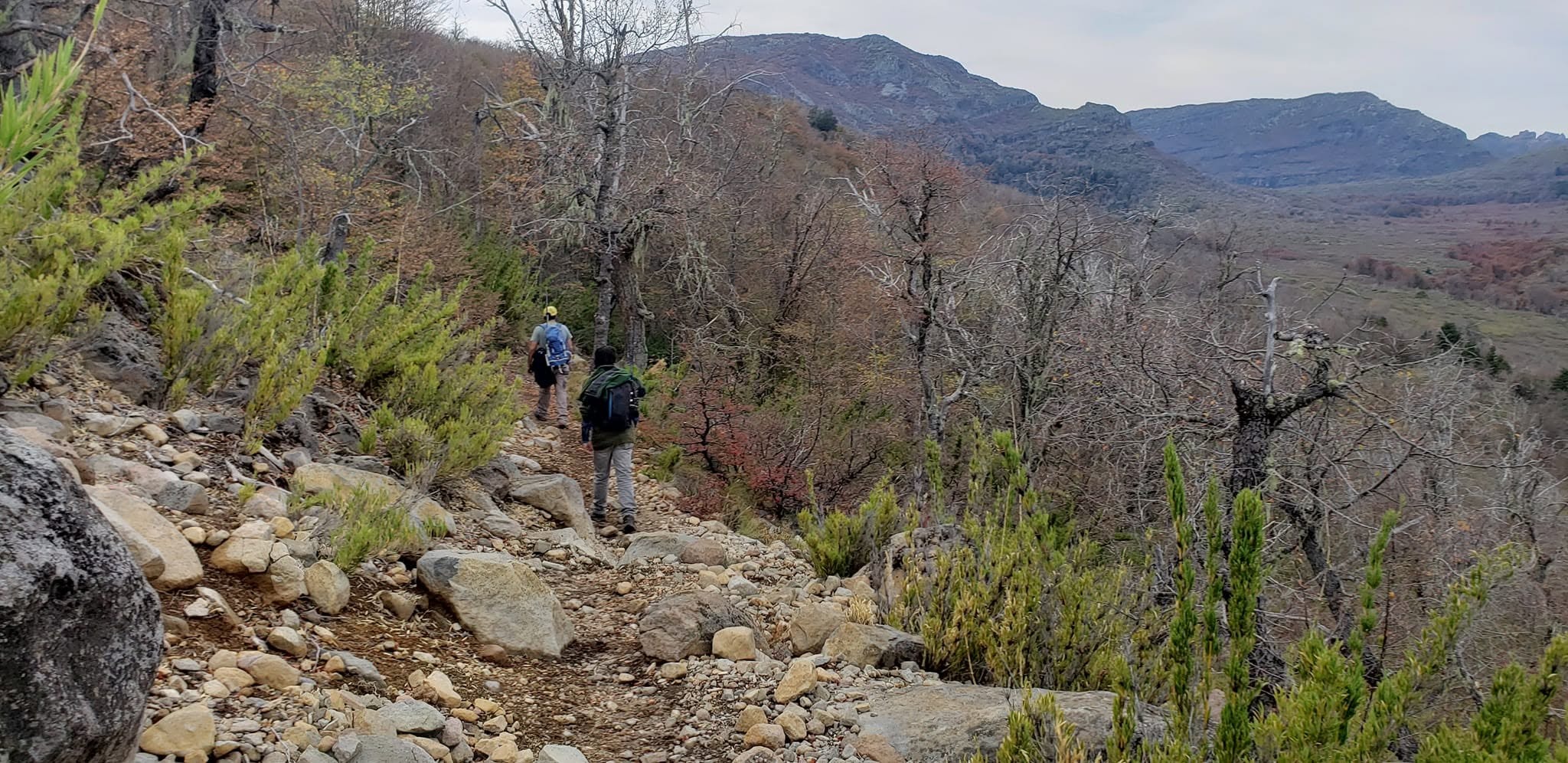 Dos personas caminando por el sendero de roca entre robles en otoño